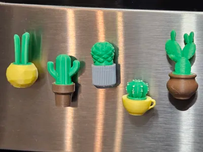 Pack de 5 Imanes 3D – Diseño de Cactus Aleatorio